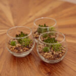 Terrarios artificiales