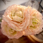 Camelias Artificiales / Rosa Pálido